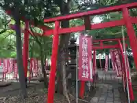 於菊稲荷神社の鳥居