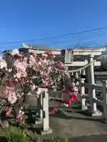 厄王大権現(山梨県)