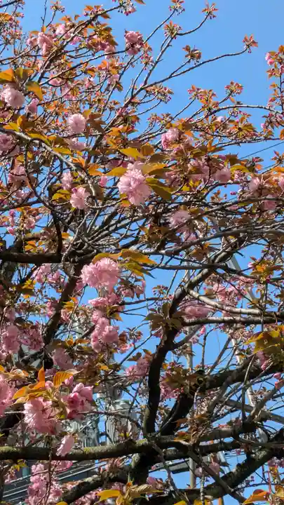 宝蔵寺(京都府)