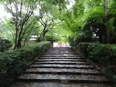 龍安寺(京都府)