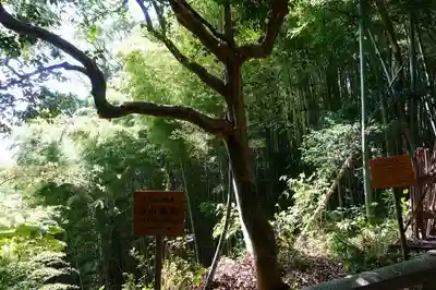 石清水八幡宮のその他建物