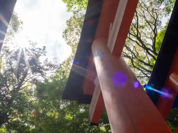 伏見稲荷大社の{uncategorized: "未分類", other: "その他", undefined: "問題あり", building: "その他建物", grave: "お墓", sacred_gate: "鳥居", guardian: "狛犬", statue: "像", buddha: "仏像", history: "歴史", nature: "自然", garden: "庭園", animal: "動物", pagoda: "塔", temizu: "手水舎", mountain_gate: "山門・神門", sanctuary: "本殿・本堂", subordinate: "末社・摂社", art: "芸術", scenery: "景色", jizo: "地蔵", ema: "絵馬", goshuin: "御朱印", omikuji: "おみくじ", items: "授与品その他", amulet: "お守り", goshuincho: "御朱印帳", eats: "食事", festival: "お祭り", votive_dance: "神楽", shichigosan: "七五三参", wedding: "結婚式", experience: "体験その他", initially: "初詣", around: "周辺", anti_infection: "感染症対策"}