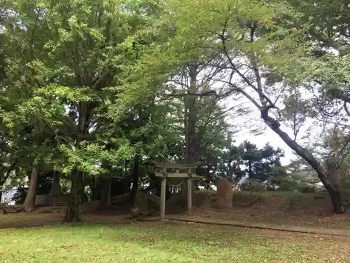 天鷺神社の自然