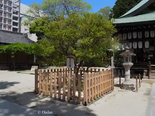 白峯神宮(京都府)