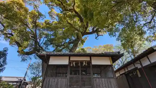 常磐神社(京都府)