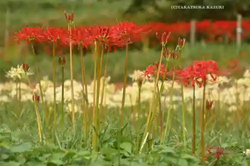 浄発願寺(神奈川県)