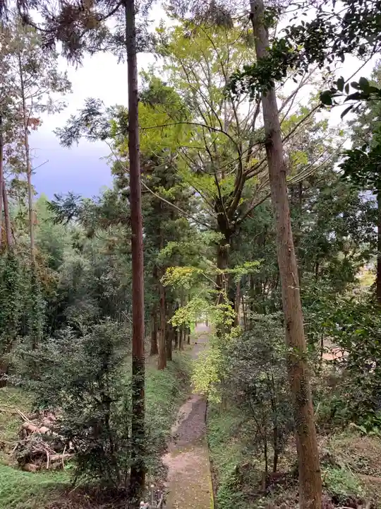 北野神社の自然