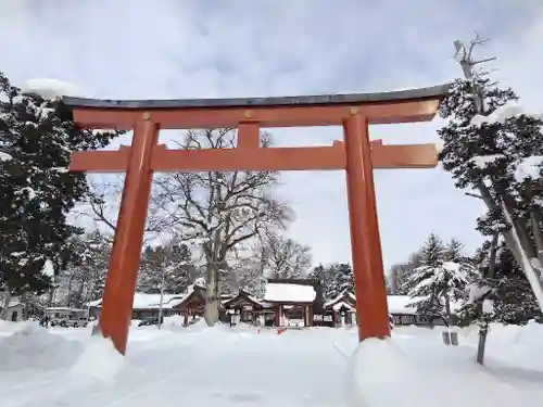 北海道護國神社の鳥居