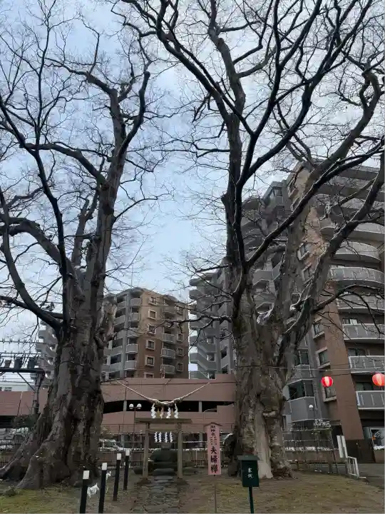 熊野神社(山形県)