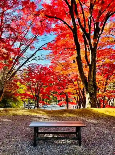 土津神社｜こどもと出世の神さまの景色