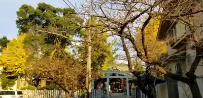 半田稲荷神社(東京都)