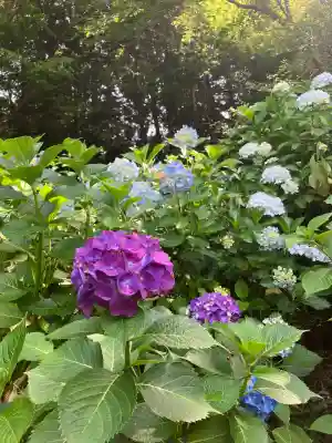 持寳院(多氣山不動尊)(栃木県)