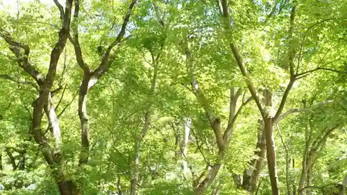 圓光寺(京都府)