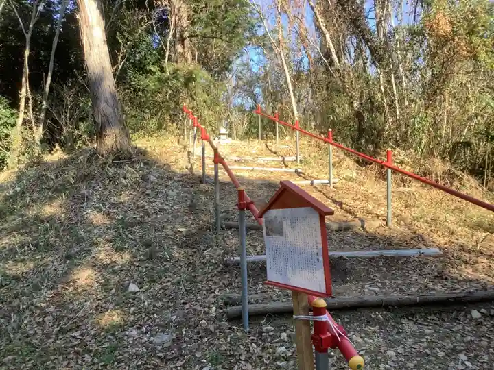 五社稲荷社の自然