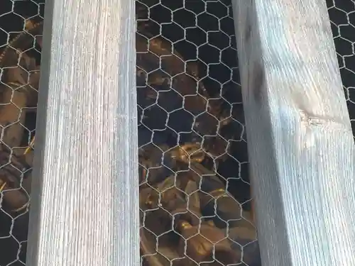 善光寺(長野県)