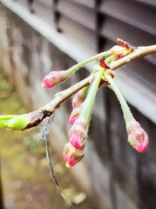 池尻稲荷神社(東京都)