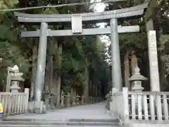 北口本宮冨士浅間神社の鳥居