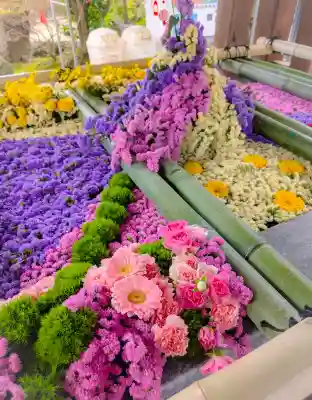 多賀神社の{uncategorized: "未分類", other: "その他", undefined: "問題あり", building: "その他建物", grave: "お墓", sacred_gate: "鳥居", guardian: "狛犬", statue: "像", buddha: "仏像", history: "歴史", nature: "自然", garden: "庭園", animal: "動物", pagoda: "塔", temizu: "手水舎", mountain_gate: "山門・神門", sanctuary: "本殿・本堂", subordinate: "末社・摂社", art: "芸術", scenery: "景色", jizo: "地蔵", ema: "絵馬", goshuin: "御朱印", omikuji: "おみくじ", items: "授与品その他", amulet: "お守り", goshuincho: "御朱印帳", eats: "食事", festival: "お祭り", votive_dance: "神楽", shichigosan: "七五三参", wedding: "結婚式", experience: "体験その他", initially: "初詣", around: "周辺", anti_infection: "感染症対策"}