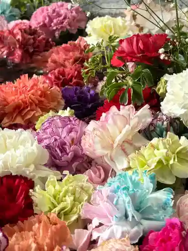 札幌諏訪神社の手水舎