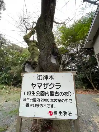埴生神社の自然