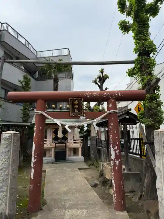 椿神社(東京都)