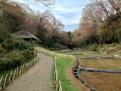 明治神宮(東京都)