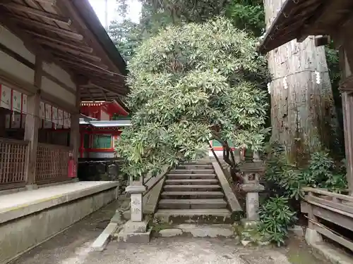 都祁水分神社のその他建物