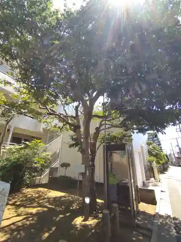 西山野稲荷神社(東京都)