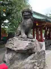 浅草神社の狛犬