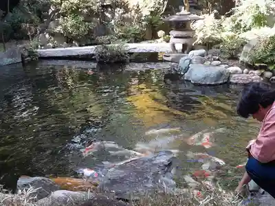 感通寺(東京都)