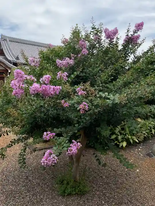 宗栄寺(愛知県)