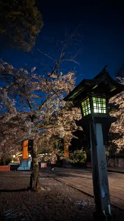 平野神社(京都府)
