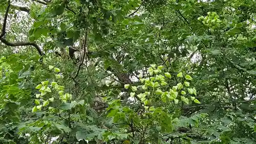 能護寺(埼玉県)