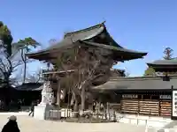 寒川神社(神奈川県)