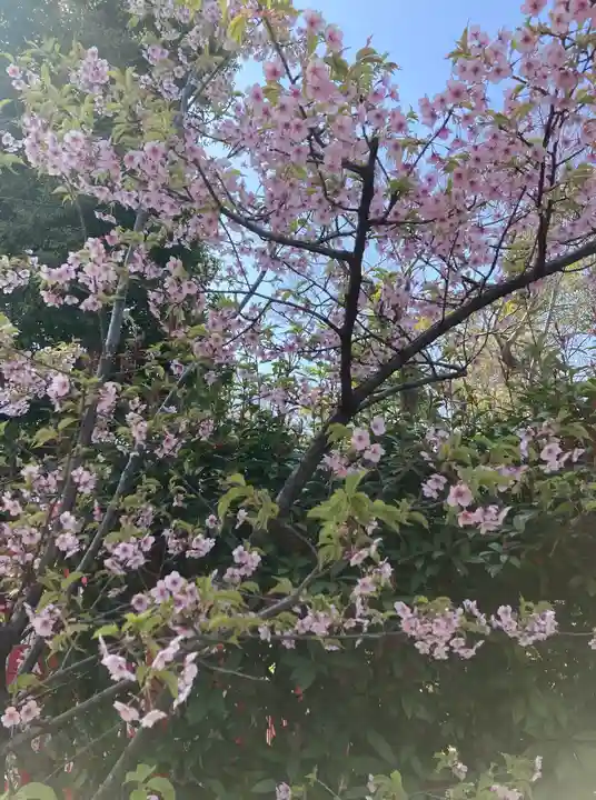 大江神社(大阪府)