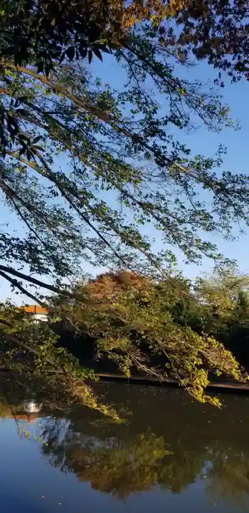 東稲荷神社の自然