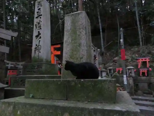 伏見稲荷大社(京都府)