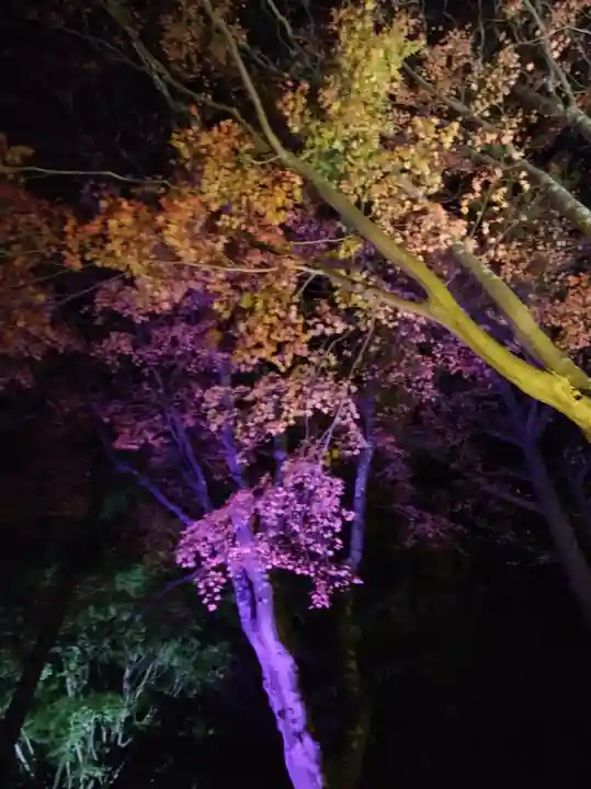 北広島市総鎮守 廣島神社(北海道)