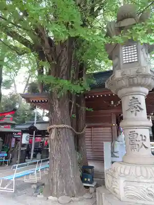 豊川稲荷東京別院のその他建物