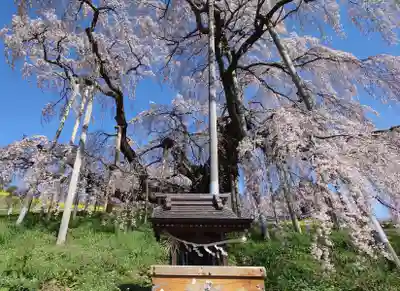 瀧桜神明宮(福島県)