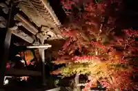 蓮光寺(山口県)