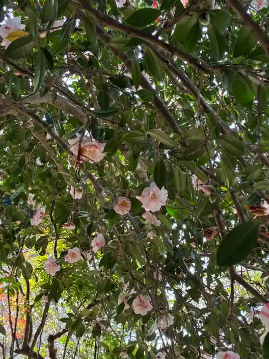 楠木神社(茨城県)