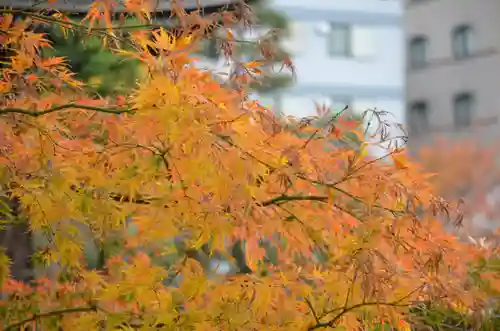 本能寺(京都府)
