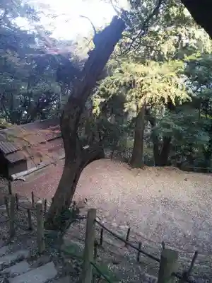 白山多賀神社のその他建物