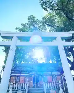 阿保神社(大阪府)(2023年08月03日(木) 18時25分08秒投稿)
