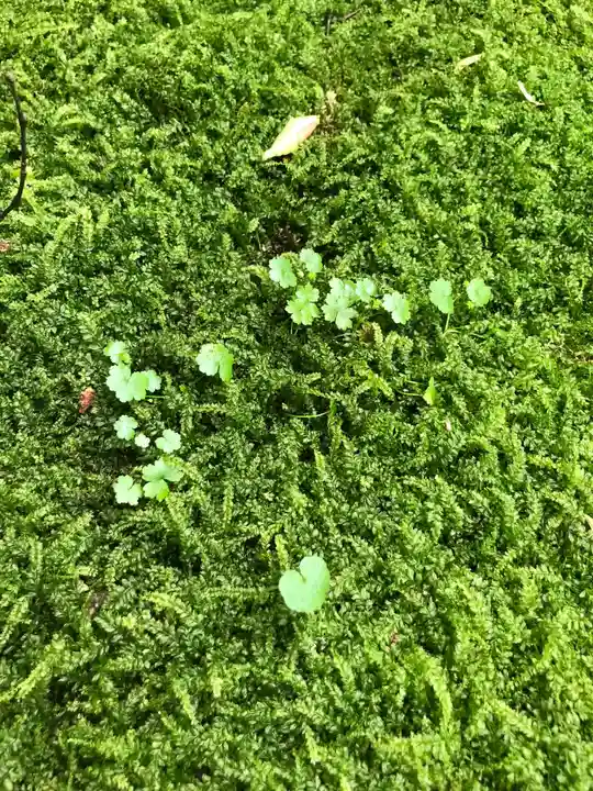 貴船神社の自然