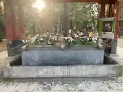 武蔵一宮氷川神社(埼玉県)