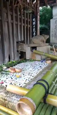 北野天満宮(京都府)