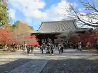 真正極楽寺(真如堂)の本殿・本堂