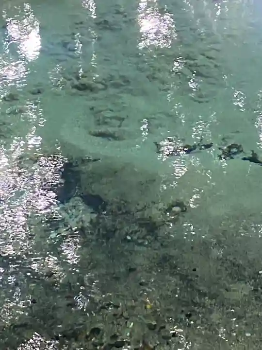 泉神社(茨城県)